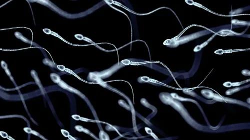 سائل منوي يظهر تحت المجهر، مع حيوانات منوية تتحرك في بيئة مظلمة، مما يعكس أهمية الصحة الإنجابية وفحص معايير السائل المنوي.
